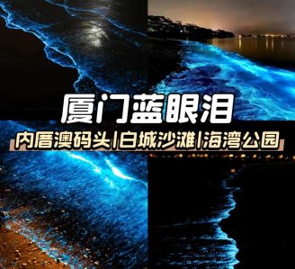 ✨厦门追泪秘籍在此！不看这篇，真的容易跑空！不止平潭有蓝眼泪